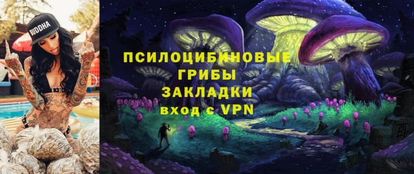 ALPHA PVP Лагань
