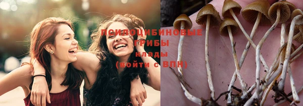 мет Лихославль
