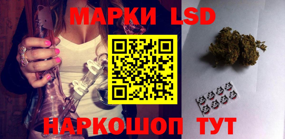 Псилоцибиновые грибы Новоуральск