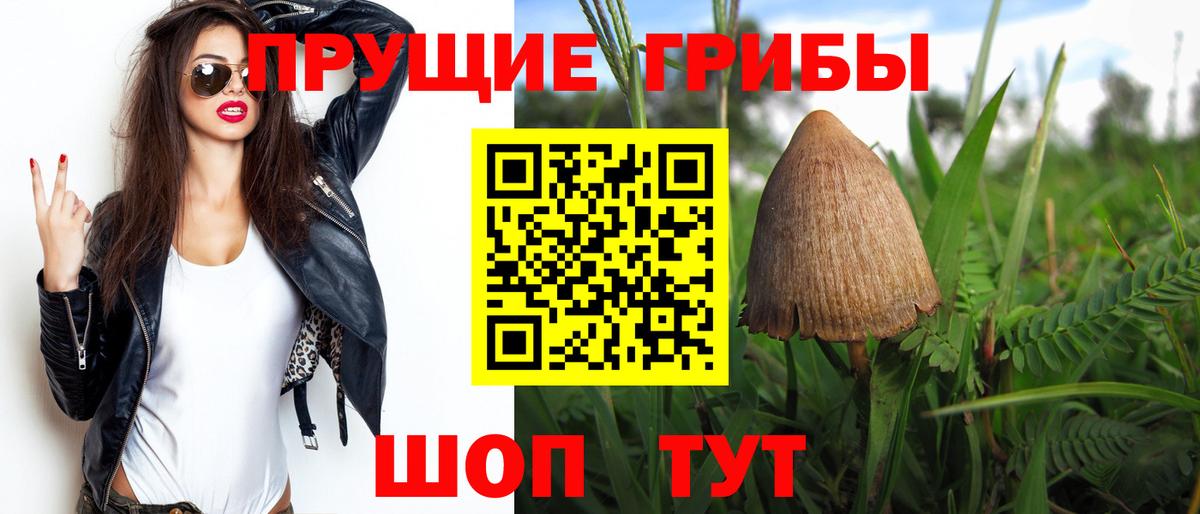 Псилоцибиновые грибы Psilocybe  Галлюциногенные грибы прущие грибы  Вход с VPN  Новоуральск 