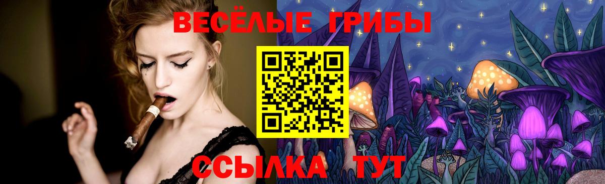 Псилоцибиновые грибы Psilocybe Новоуральск
